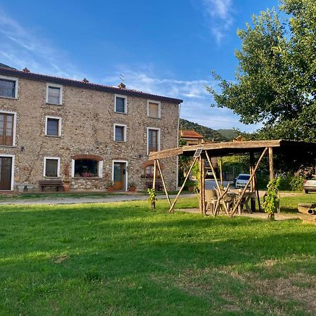 La Casa Nell'Aia Bed & Breakfast Monsummano Terme Exterior photo